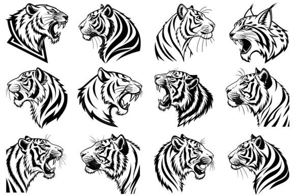 Premium Tiger Head Vector Illustrations for Print Templates and Graphics